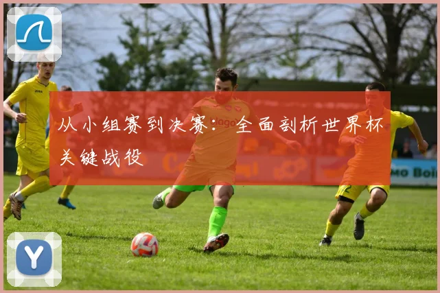 从小组赛到决赛:全面剖析世界杯关键战役