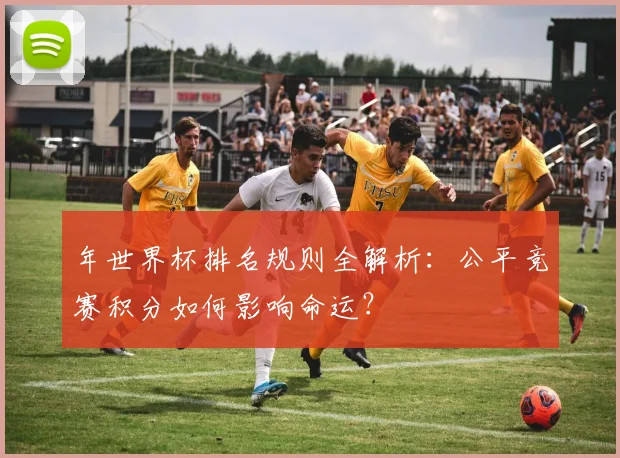 年世界杯排名规则全解析:公平竞赛积分如何影响命运?