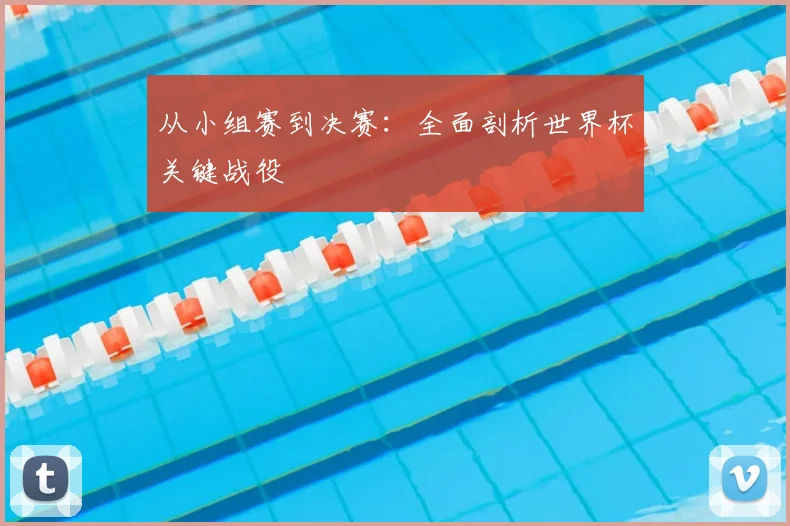 从小组赛到决赛:全面剖析世界杯关键战役