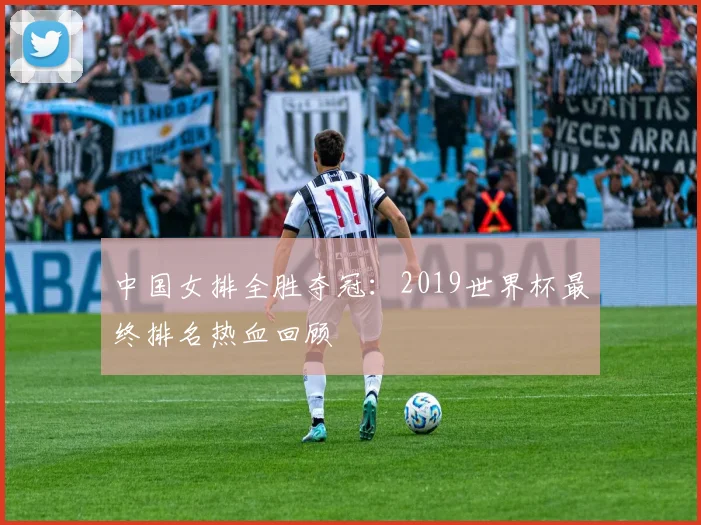 中国女排全胜夺冠：2019世界杯最终排名热血回顾