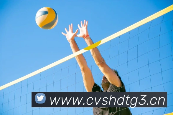 App Interface Preview